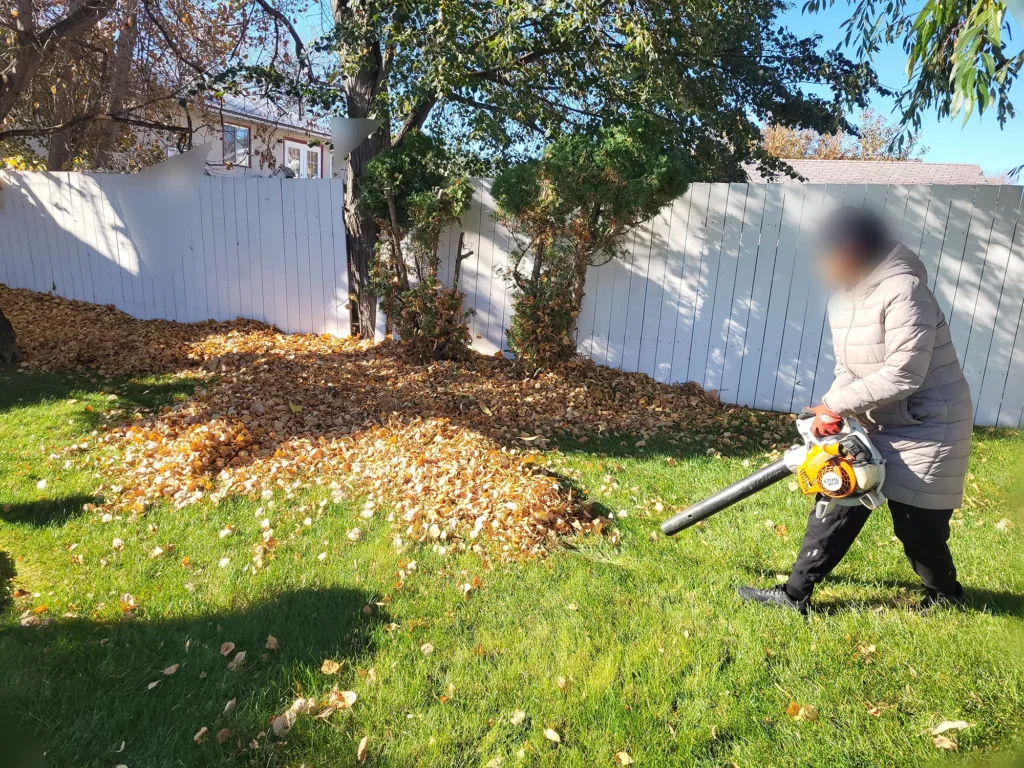 Fall Leaf Removal