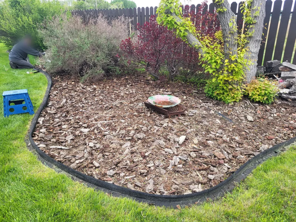 Shrub Pruning & Trimming Services