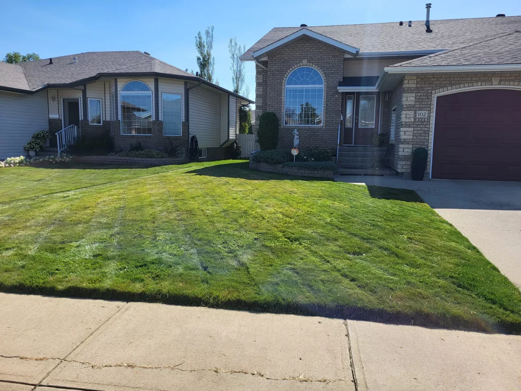 Lawn Mowing & Trimming