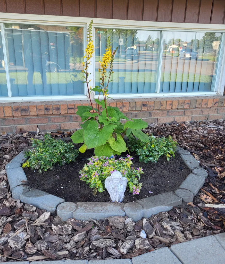 Garden & Flowerbed Maintenance Service