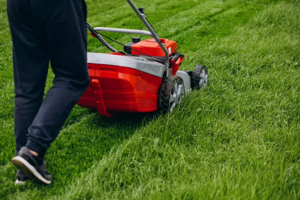 Lawn Mover