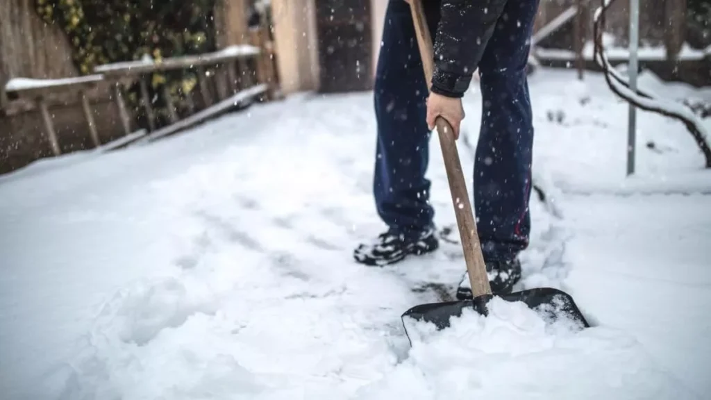 Snow Removal Services